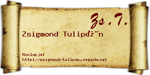 Zsigmond Tulipán névjegykártya